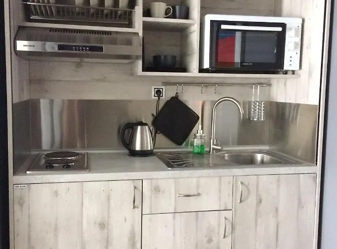Apartman Restored, Immaculate @ Historic Center #1 *